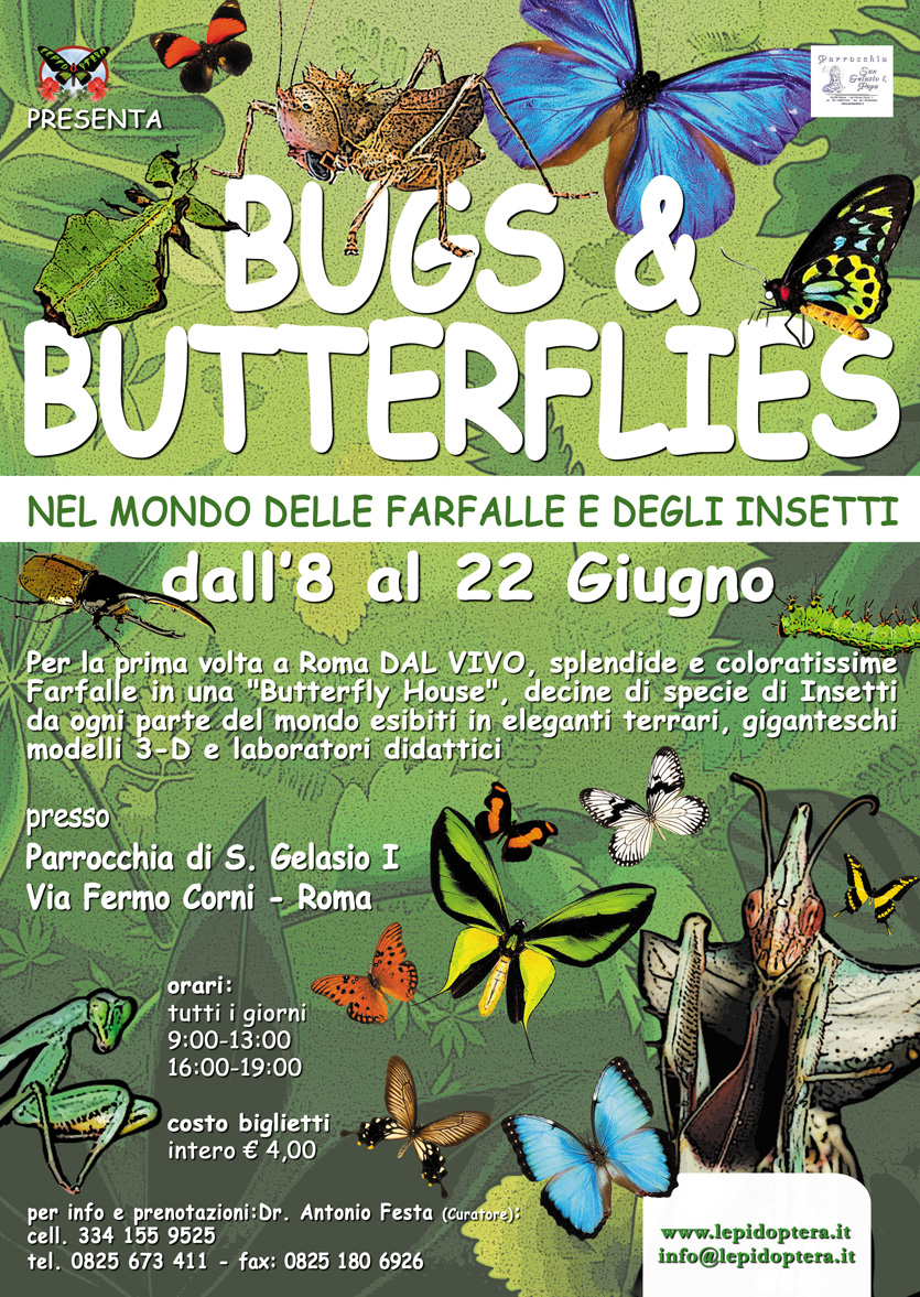 BUGS & BUTTERFLIES fino all 22.06- Nel mondo delle farfalle e degli insetti  - Insieme per l'Aniene Onlus